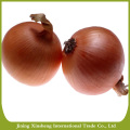 Fresh Onion/Onions Price Ton New Crop